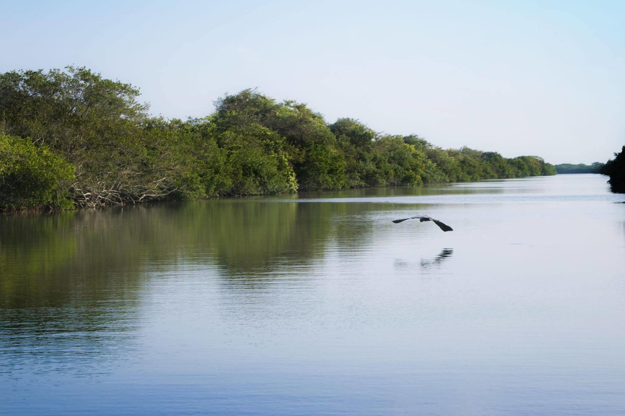 ホテル Isla Tajin Tuxpan  エクステリア 写真